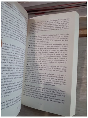 L'interprétation des maladies - Comprendre les blessures de l'âme et leurs manifestations