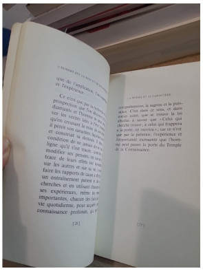 L'homme est le reflet de ses pensées - Comprendre l'influence de l'esprit sur la destinée