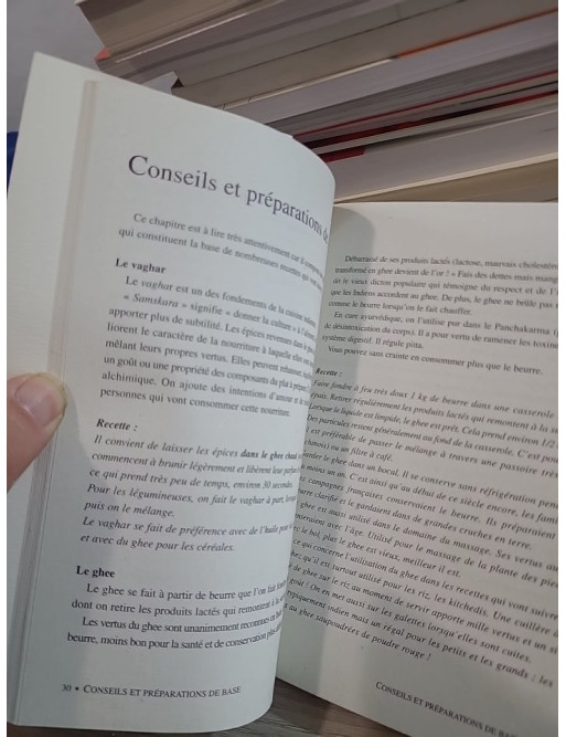 Recettes végétariennes de l'Inde - Cuisine ayurvédique et saveurs traditionnelles