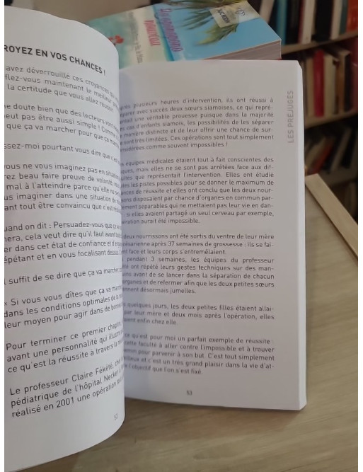 Un Bourdon... Sur les chemins de la réussite - Guide de motivation et développement personnel