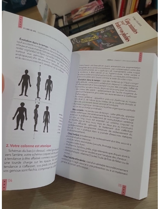 Le livre du dos - Comment défendre, protéger et soigner la colonne vertébrale