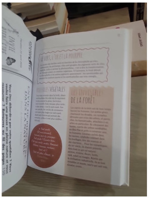 Envie de bien-être dans la nature - 150 exercices pour se ressourcer