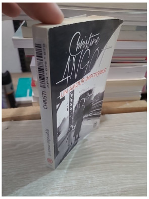 Un amour impossible - Conférence à New York - Christine Angot