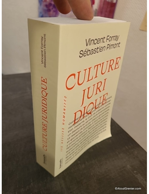 Culture juridique - Comprendre le rôle du droit dans l'État moderne