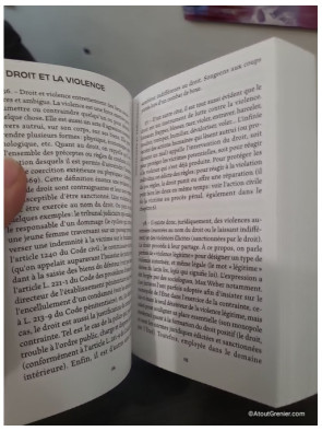 Culture juridique - Comprendre le rôle du droit dans l'État moderne