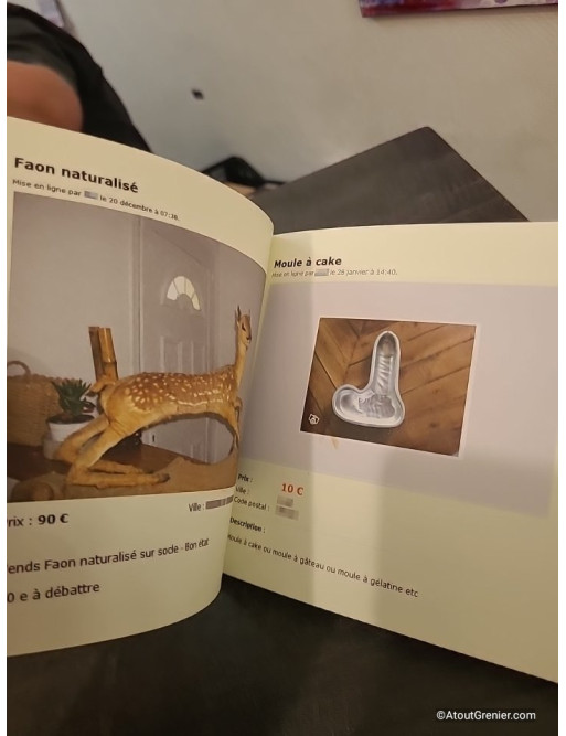 Les Nouvelles Pépites du site Leboncoin.fr - Tome 02, compilation d'annonces insolites et humoristiques