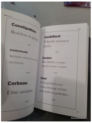 Le dictionnaire de Laurent Baffie - 500 définitions humoristiques et impertinentes