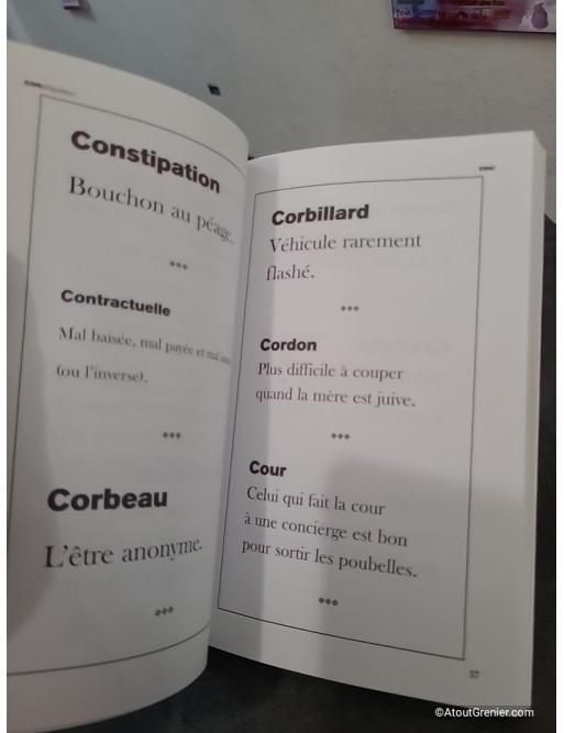 Le dictionnaire de Laurent Baffie - 500 définitions humoristiques et impertinentes