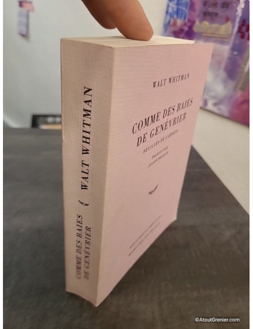 Comme des baies de genévrier - Feuilles de carnets, écrits autobiographiques et poétiques