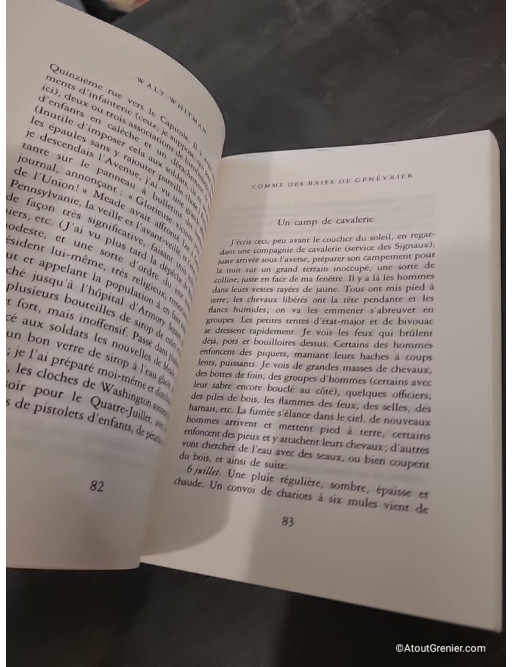 Comme des baies de genévrier - Feuilles de carnets, écrits autobiographiques et poétiques
