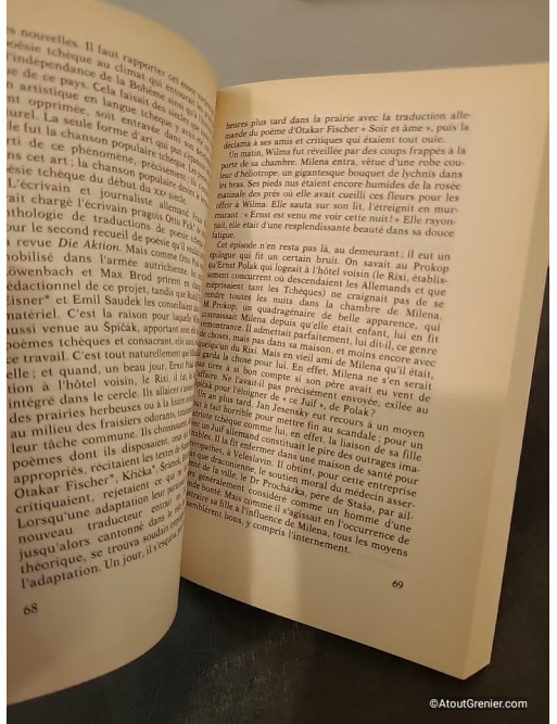 Milena - Témoignage sur Milena Jesenská, amie de Kafka et résistante