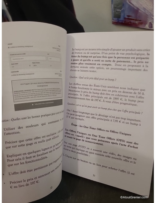 La Bible du Marketing Underground - Méthodes pour lancer et développer un business en ligne