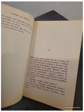 Vipère au poing - Roman autobiographique sur l’enfance et l’oppression familiale