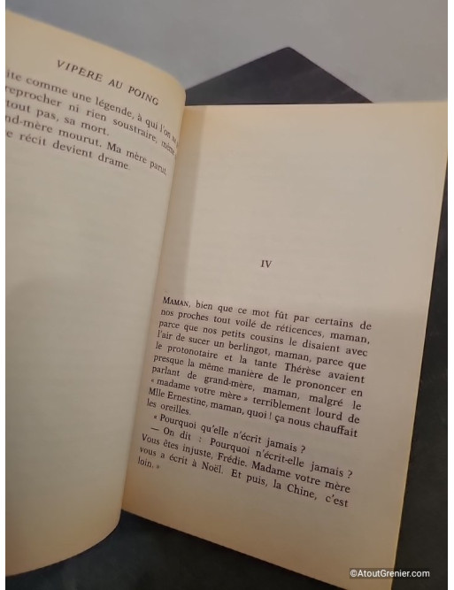 Vipère au poing - Roman autobiographique sur l’enfance et l’oppression familiale