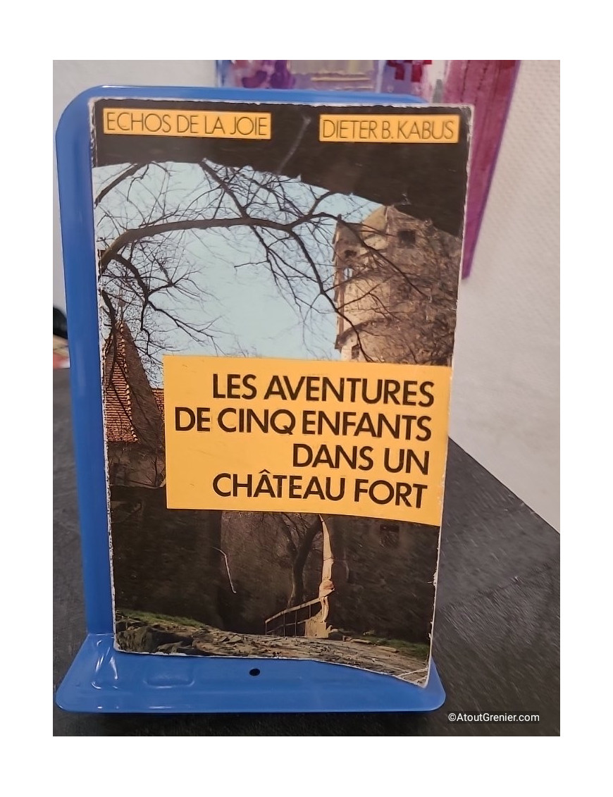 Les aventures de cinq enfants dans un château fort - Roman jeunesse d'aventure