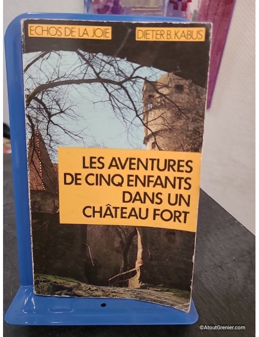 Les aventures de cinq enfants dans un château fort - Roman jeunesse d'aventure