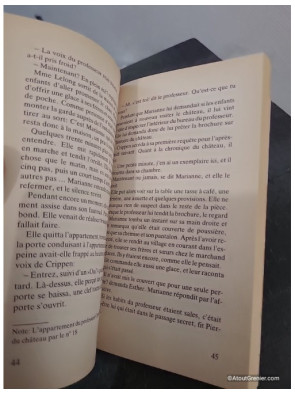 Les aventures de cinq enfants dans un château fort - Roman jeunesse d'aventure