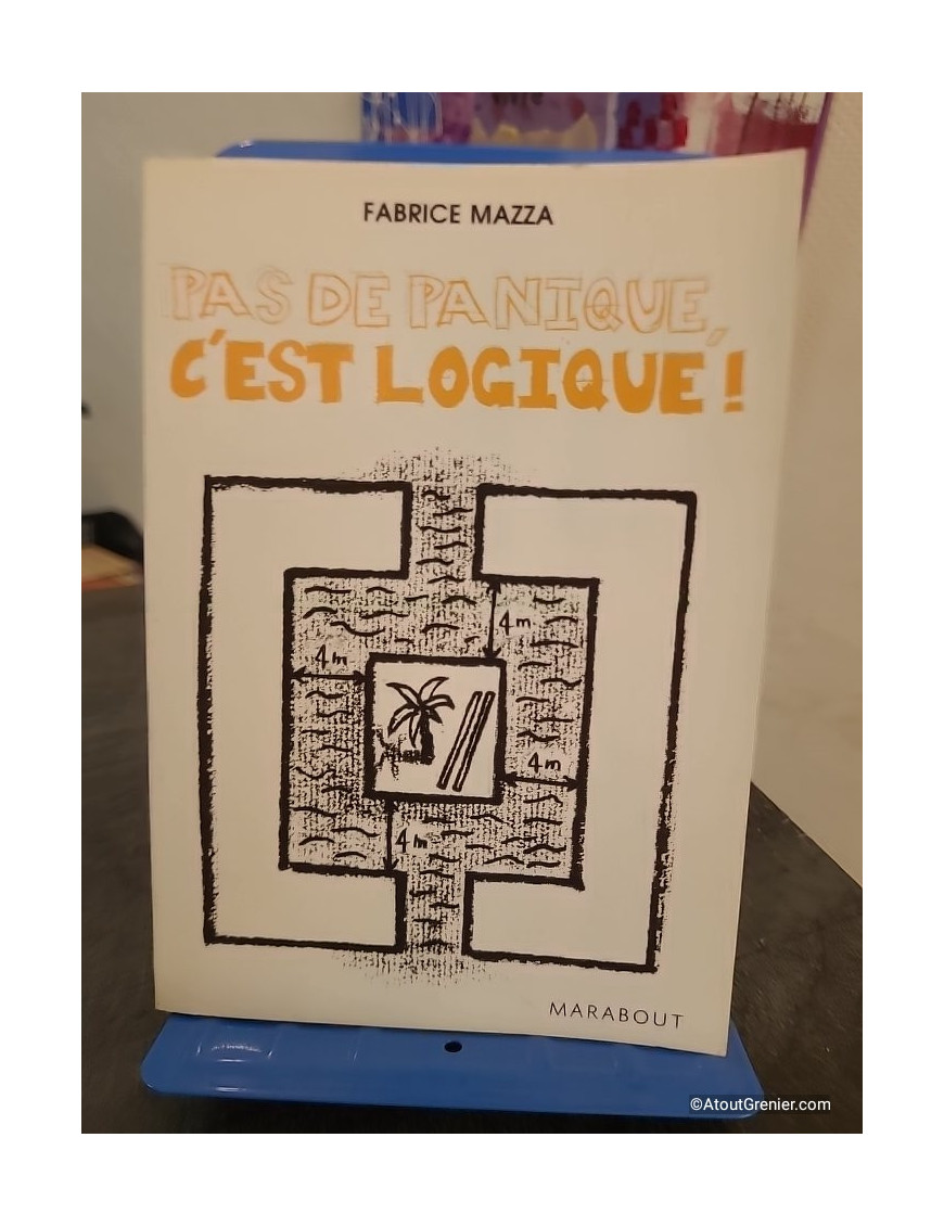 Pas de panique, c'est logique ! Jeux d'énigmes et défis de réflexion