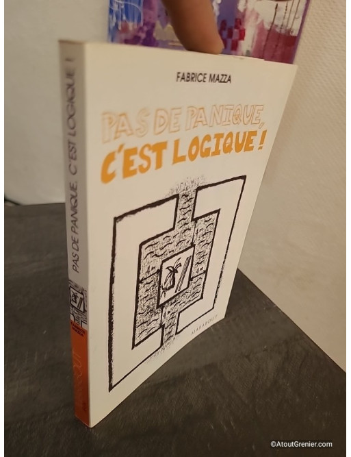 Pas de panique, c'est logique ! Jeux d'énigmes et défis de réflexion
