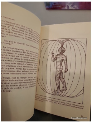 La polarité - Vos mains guérissent, guide de soins énergétiques et bien-être
