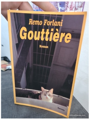Gouttière - Roman français contemporain entre satire et chronique sociale
