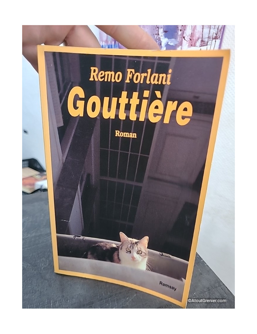 Gouttière - Roman français contemporain entre satire et chronique sociale