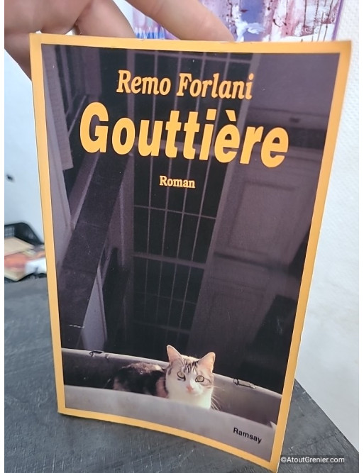 Gouttière - Roman français contemporain entre satire et chronique sociale