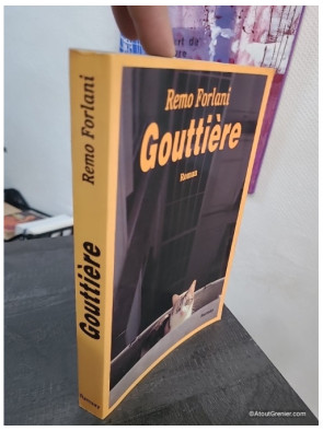 Gouttière - Roman français contemporain entre satire et chronique sociale