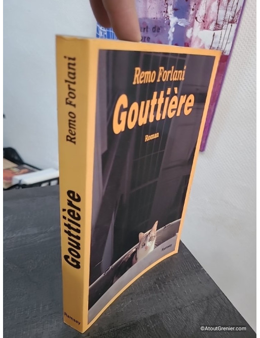 Gouttière - Roman français contemporain entre satire et chronique sociale