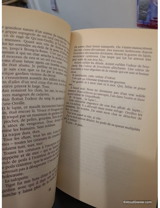 Gouttière - Roman français contemporain entre satire et chronique sociale