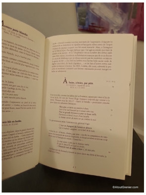 Les Grandes allusions - Dictionnaire commenté des expressions d'origine littéraire