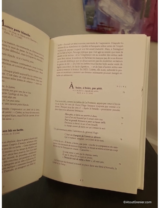 Les Grandes allusions - Dictionnaire commenté des expressions d'origine littéraire