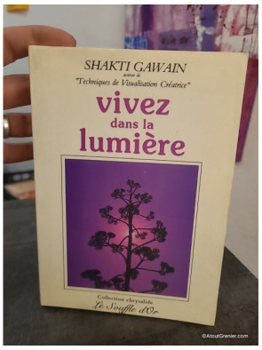 Vivez dans la lumière - Guide de transformation personnelle et planétaire