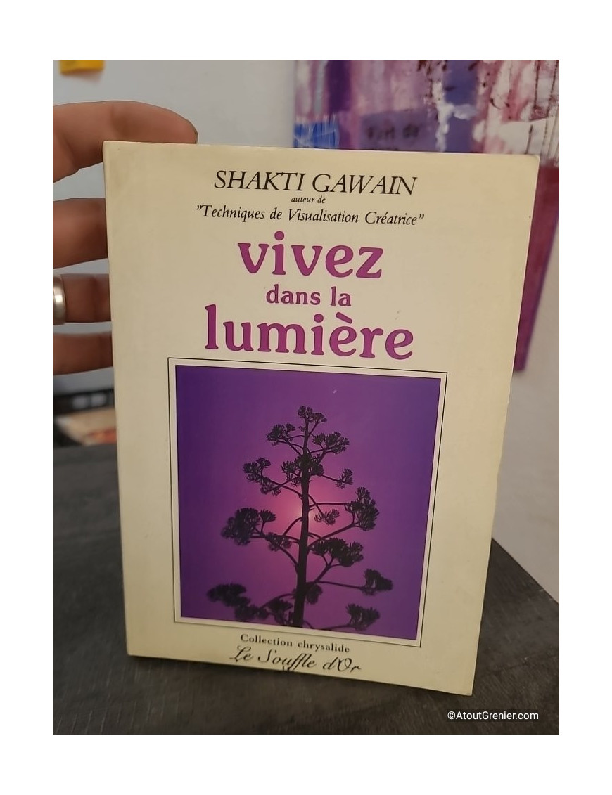 Vivez dans la lumière - Guide de transformation personnelle et planétaire
