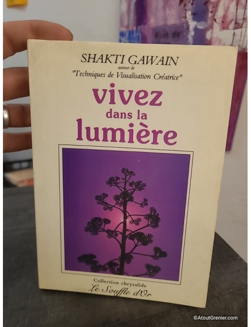 Vivez dans la lumière - Guide de transformation personnelle et planétaire