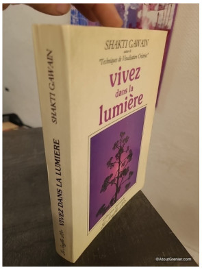 Vivez dans la lumière - Guide de transformation personnelle et planétaire