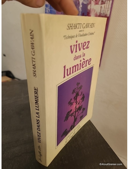Vivez dans la lumière - Guide de transformation personnelle et planétaire