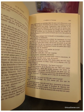 Les Dames du Faubourg Tome 2 - Le lit d'acajou, fresque historique de la Révolution au Consulat
