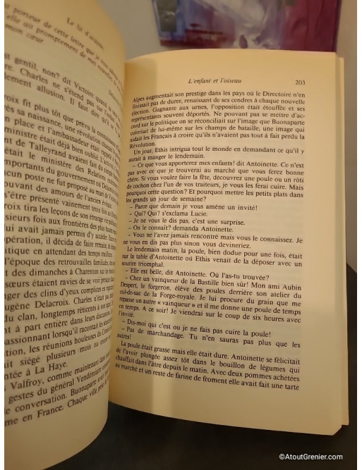 Les Dames du Faubourg Tome 2 - Le lit d'acajou, fresque historique de la Révolution au Consulat