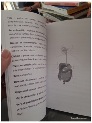 Quelles Huiles Essentielles, Pour quels Maux - Faites facilement votre choix