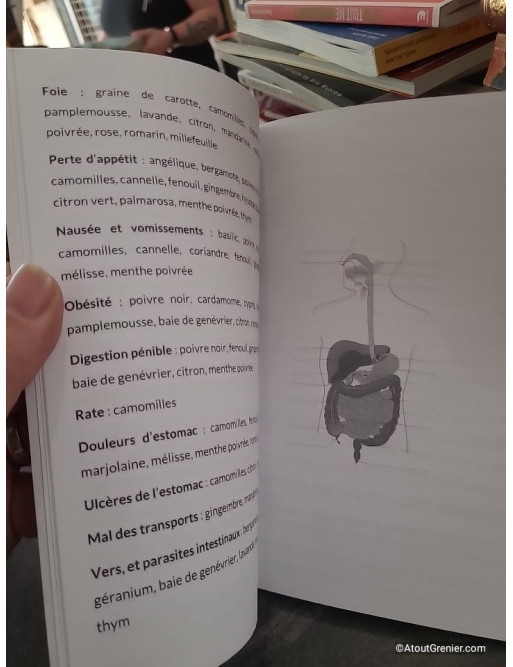 Quelles Huiles Essentielles, Pour quels Maux - Faites facilement votre choix