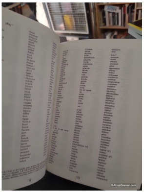 Dictionnaire des rimes orales et écrites
