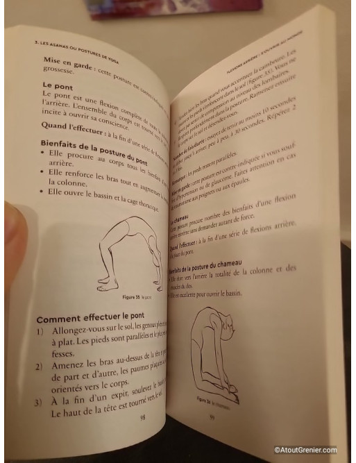 Postures et techniques du yoga - Pour trouver l'harmonie du corps et de l'esprit