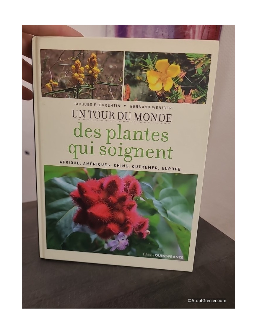 Un tour du monde des plantes qui soignent