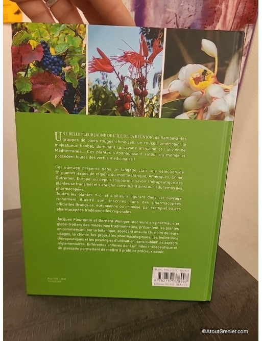 Un tour du monde des plantes qui soignent