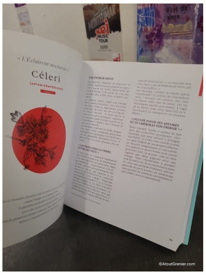 Le grand livre des huiles essentielles - médecine de l'âme et voie d'éveil - 50 Huiles Essentielles Coeur, Corps, Esprit