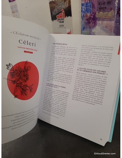 Le grand livre des huiles essentielles - médecine de l'âme et voie d'éveil - 50 Huiles Essentielles Coeur, Corps, Esprit