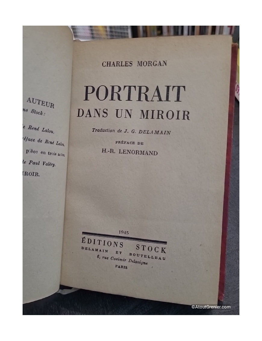 Portrait Dans Un Miroir