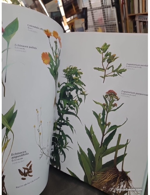 Le guide complet de la phytothérapie