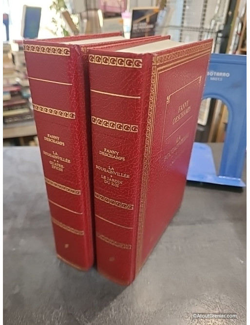 La Bougainvillée Tome 1 et 2 - Le Raid Pékin Paris - Pour Amuser Les Coccinelles